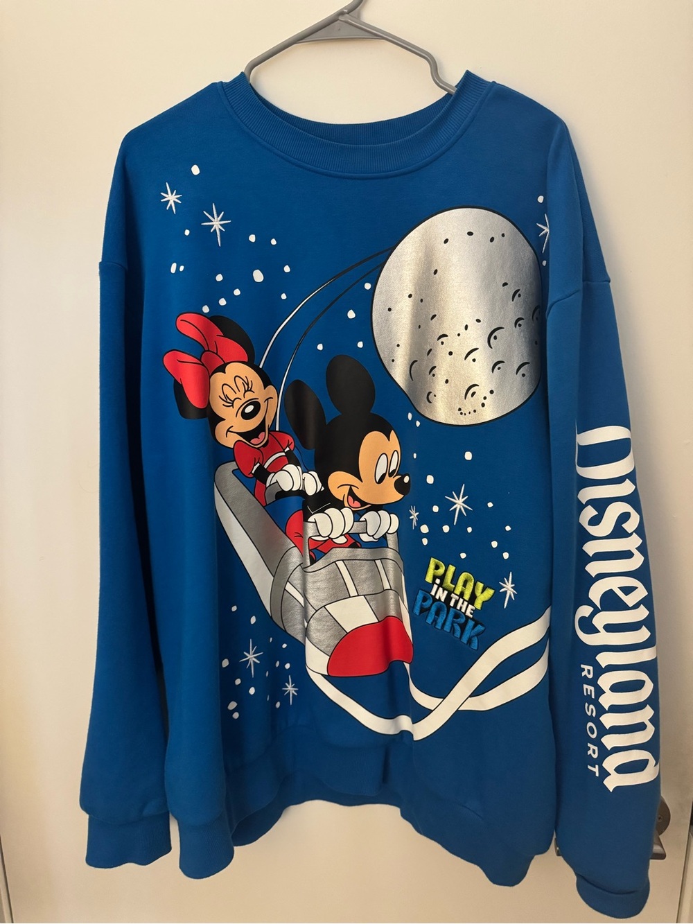 Disneyland “Play in the Park” - Adult Large Sweater